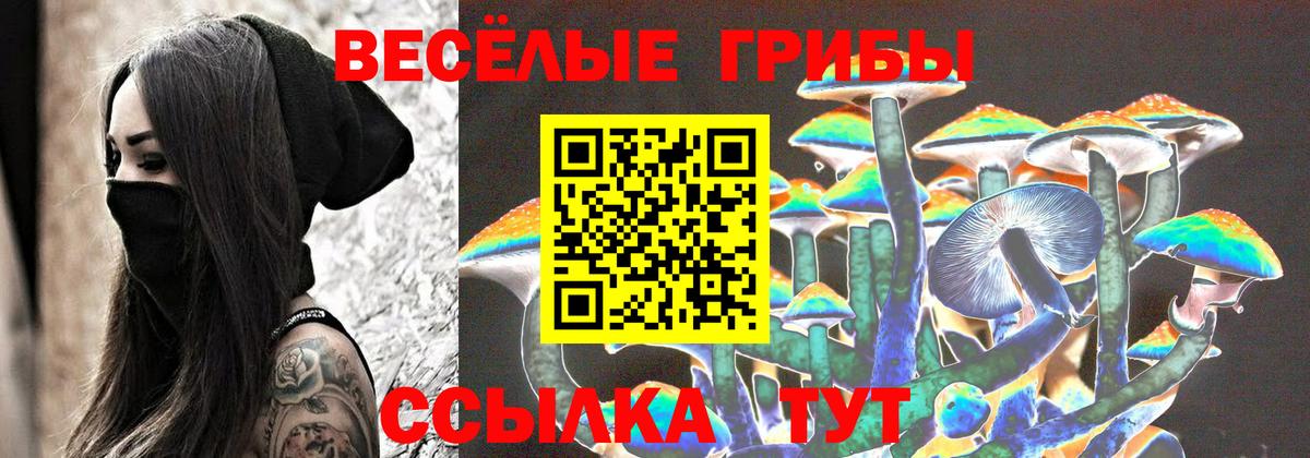 Псилоцибиновые грибы прущие грибы  Галлюциногенные грибы Psilocybine cubensis  Янаул  Вход с VPN 